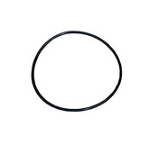 Mercedes Automatic Transmission Pump Seal - CRP 0169973248