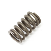 BMW Exhaust Bolt and Spring - Genuine BMW 18307790610