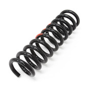 Mercedes Coil Spring Rear (SL500) - Genuine Mercedes 1293241404