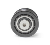 Mercedes Drive Belt Idler Pulley - INA 1202000470