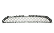 BMW Black Mesh Grille - Genuine BMW 51118204363