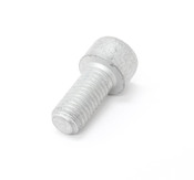 BMW Fillister Head Screw (M10X22) - Genuine BMW 07119901979