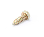 BMW Hex Head Screw (St42X13C) - Genuine BMW 07119916804