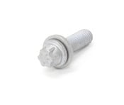 BMW Torx Bolt - Genuine BMW 07129905568