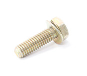 BMW Oil Pan Bolt - Genuine BMW 07119915031