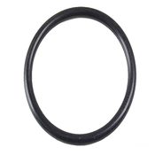 Porsche Fuel Level Sensor O-Ring  - OE Supplier 99970711540