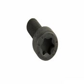 Porsche Torx Bolt - Genuine Porsche 99907309101