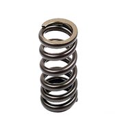 Porsche Engine Valve Spring - OE Supplier 61610543203