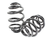 BMW Coil Spring Kit Rear (E46) - 420843KT