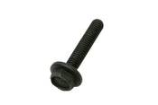 Mini Cooper Hex Bolt With Gasket Ring (M6X30) - Genuine Mini 07131485184