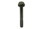 BMW Collar Screw (M18X15X142) (745i 750i X5) - Genuine BMW 11231440076