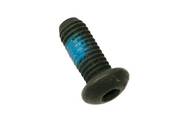 Mini Cooper Torx Bolt (M8X20) - Genuine Mini 11417829908