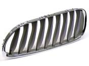 BMW Kidney Grille - Genuine BMW 51117117757