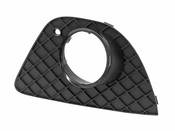 BMW Grid Lateral Left - Genuine BMW 51117147525