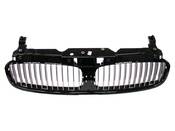 BMW Grille Frame Front (745i 745Li) - Genuine BMW 51137037727