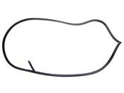 BMW Front Left Door Seal (Schiefer) - Genuine BMW 51711977727