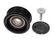 Mercedes Drive Belt Idler Pulley - INA 0002020719