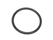 Porsche Thermostat O-Ring - Reinz 99970163240