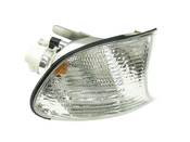 BMW Turn Signal Light Assembly - Genuine BMW 63126904308