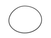 BMW O-Ring (1245X3) (318i 325i 525i 733i) - Genuine BMW 24311217133