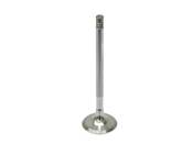BMW Exhaust Valve - Genuine BMW 11347503738