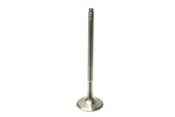 BMW Exhaust Valve - Genuine BMW 11347553772