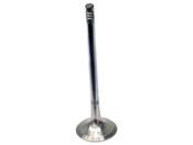 BMW Exhaust Valve - Genuine BMW 11341433699