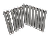 BMW Cylinder Head Bolt Set - Genuine BMW 11127583116