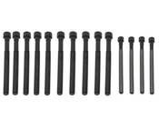 BMW Cylinder Head Bolt Set - Genuine BMW 11127574303