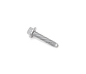 MINI Hex Bolt With Washer (M6X30) - Genuine MINI 07147543755