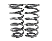 Mercedes Coil Spring Conversion Kit - Arnott C2896