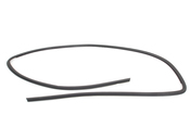 BMW Back Glass Seal - Genuine BMW 51318208471