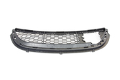 BMW Bumper Grille - Genuine BMW 51118047366