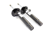 BMW Strut Assembly Kit - 290949KT