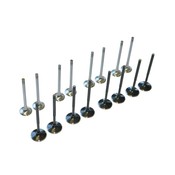 Audi VW Valve Set - 034Motorsport 0342018020