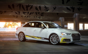 Audi Lowering Spring Kit - 034Motorsport 0344041005