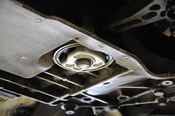 Audi VW Dogbone Mount Insert - 034Motorsport 0345091020