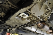 Audi VW Dogbone Mount Insert - 034Motorsport 0345091021