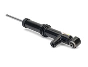 Audi Shock Absorber - Arnott Industries SK2805