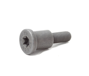 BMW Bearing Bolt - Genuine BMW 11317509782
