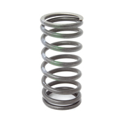 BMW Valve Spring (D=212mm) - Genuine BMW 11341714767