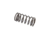 BMW Valve Spring (D=212mm) - Genuine BMW 11341714767