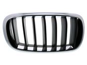 BMW Grille Front Right (Basis) (X5) - Genuine BMW 51137294486