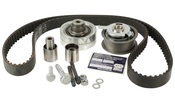 VW Timing Belt Kit - INA 038198119E