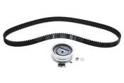 VW Timing Belt Kit - INA 06A198119