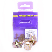 Audi VW PowerAlign Camber Bolt Kit- Powerflex PFA100-12