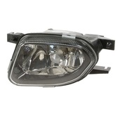Mercedes Fog Light Assembly - Hella 2118201156