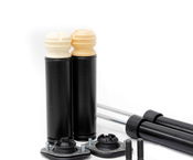 BMW Shock Absorber Kit - 556882KT4