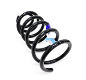 Volvo Coil Spring - Genuine Volvo 30647735