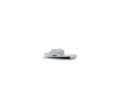 BMW C-Clip Nut (M6) - Genuine BMW 07147151144